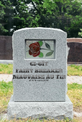 Fichier:RIPFB.png