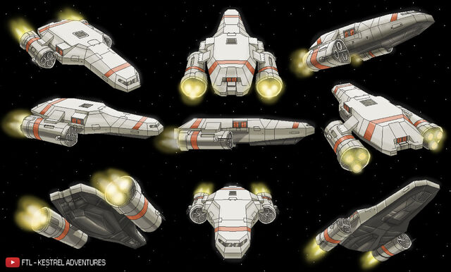 File:Kestrelmultipleangles by wonderwig-d8ng1vl.jpg