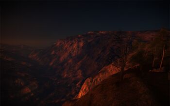 Canyon Wonder
