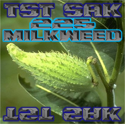 File:225 Milkweed art.png