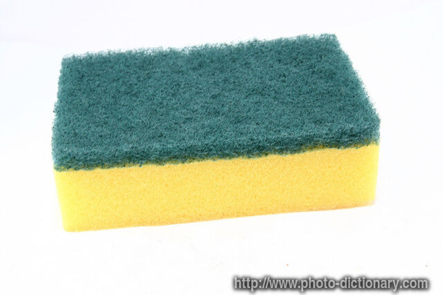 File:6916cleaning sponge.jpg