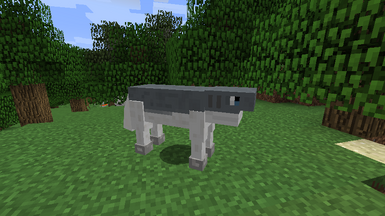 Sharkhorse