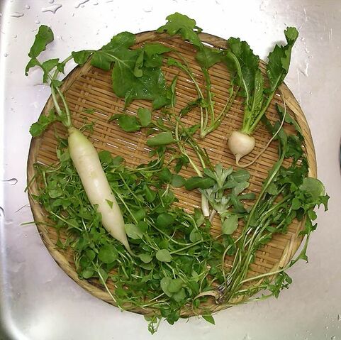 File:Seven Herbs.jpeg