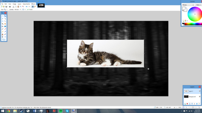 Paintnet screenshot2