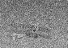 CatPlane1906
