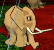 Elephant