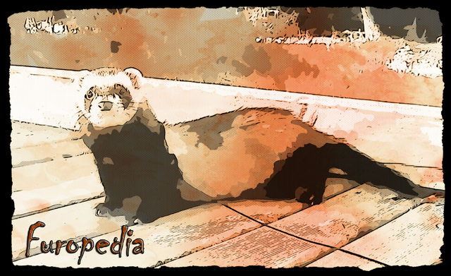 Archivo:Furopedia.png