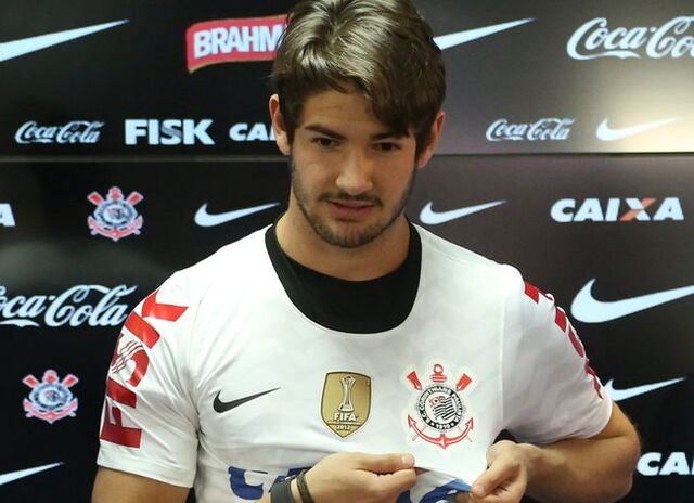 Arquivo:Pato.jpg