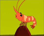 Windyshrimp.jpg
