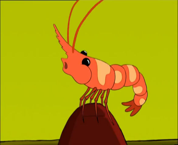 Arquivo:Windyshrimp.jpg