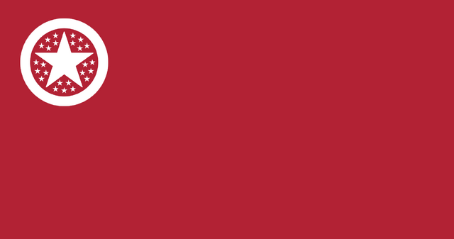 File:MARS FLAG.png