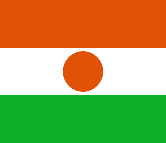 File:700px-Flag of Niger.svg.png