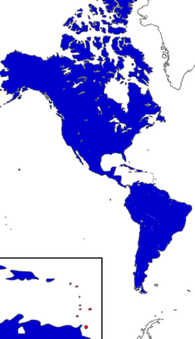 File:United States of America.png