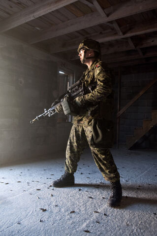 File:Canadian Soldier.jpg