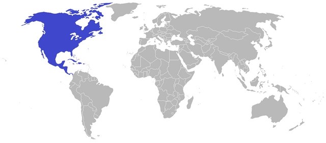 File:American empire 3.png