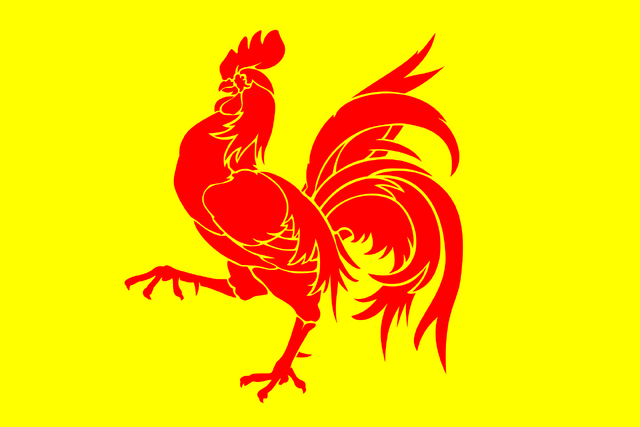 File:Flag of Wallonia.svg.png