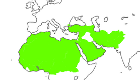 Holy Islamic Caliphate