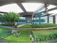Inside Verticle Farm