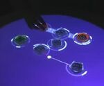Interface - reactable