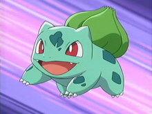 May Bulbasaur