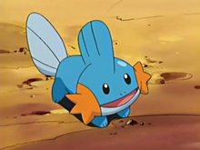 Brock Mudkip
