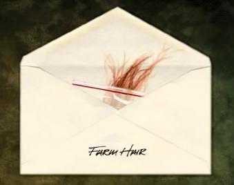 File:Hair sample.jpg