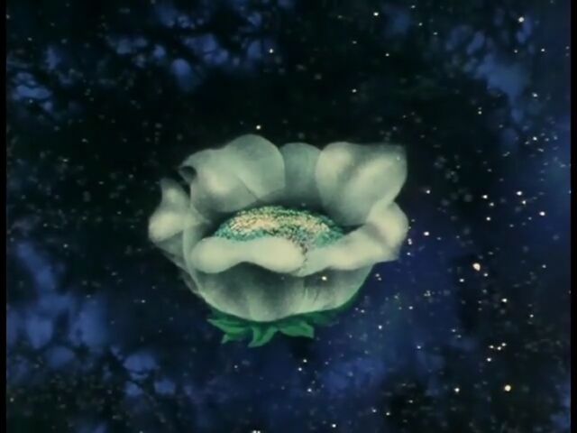 File:Wildflower.jpg