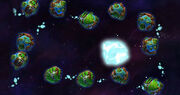 White System