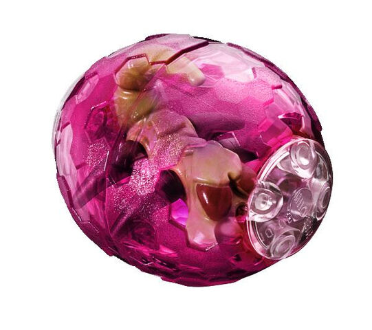 File:LarvaInPod.jpg