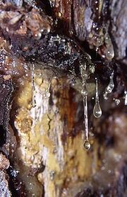 Resin
