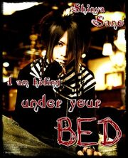 Ancafe0008yl5hidingbed.jpg