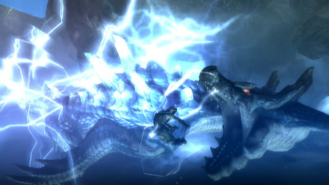 Datei:MonsterHunterTri-Screen05.png