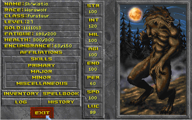 Datei:TheElderScrollsIIDaggerfall-Screen02.png