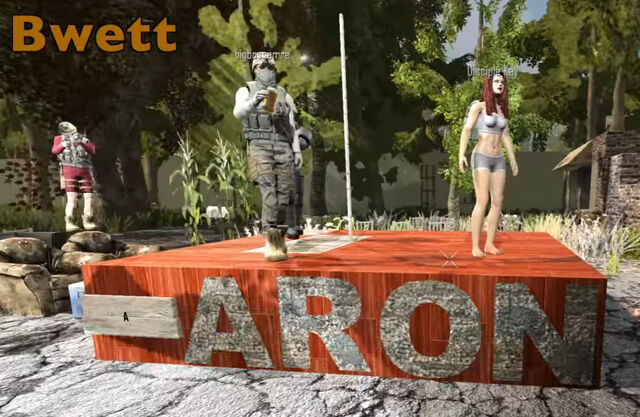 File:Aaronpole 2.jpg