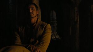 407DieSpottdrosselOberyn1.jpg