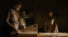 401BuchDerBrüderJoffrey1