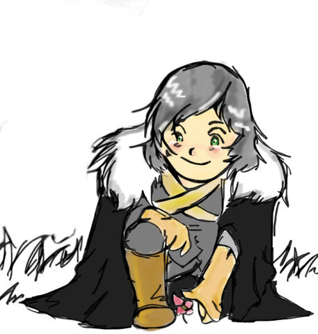 Fil:Brandon Stark 290 (CC) by malatrova.jpg
