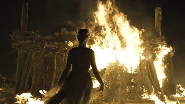 Datei:110Fire-And-Blood-1.jpg
