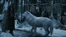 202ProfilSchattenwolf2.jpg