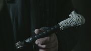 Longclaw.jpg