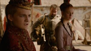 201DerNordenvergisstnichtJoffrey(1).jpg