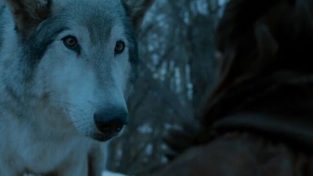 File:Nymeria Stormborn.jpg