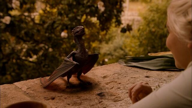 File:Drogon eats.jpg