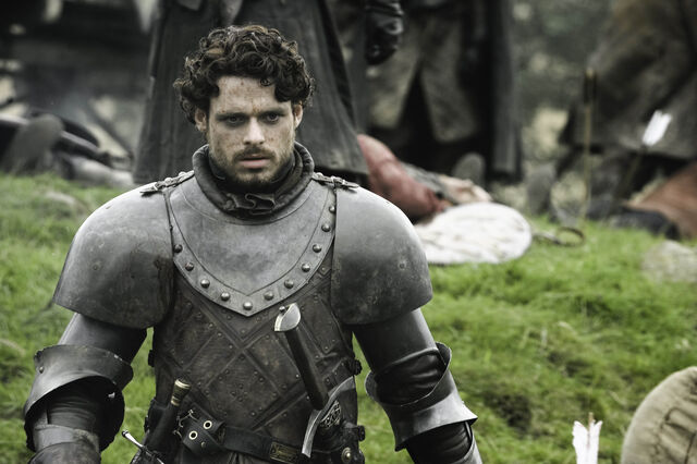 Datei:204 Robb Stark1.jpg