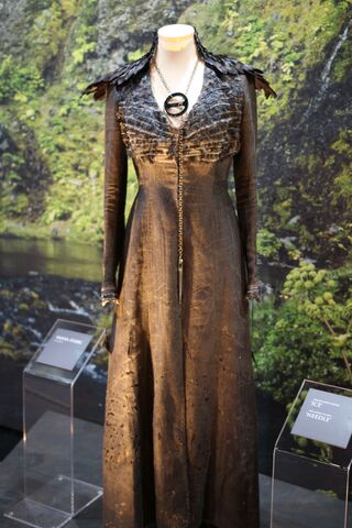 File:Dark Sansa costume exhibit.jpg