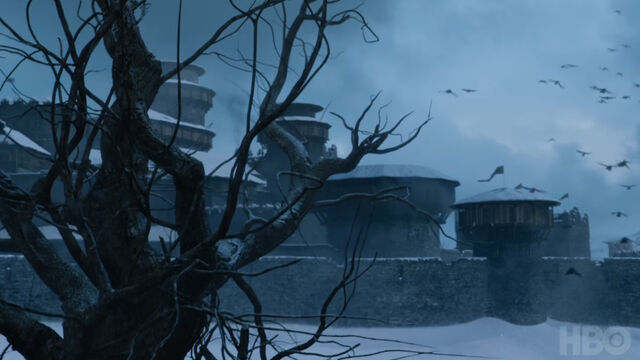 File:705 Winterfell Ravens.jpg