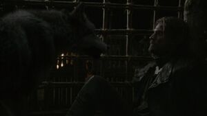 201DerNordenvergisstnichtJaimeWolf1.jpg