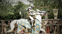 Knight of the Flowers.png