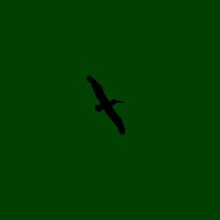 Raven-heraldry