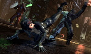1799910-132 combat.jpg